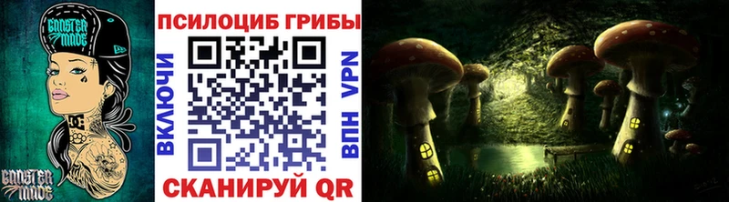 Псилоцибиновые грибы Psilocybine cubensis  Купить  Малоархангельск 